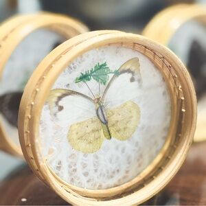 Vintage MCM "Hybrid" Butterfly Art – Coaster/ Mini Wall Art Set of 6